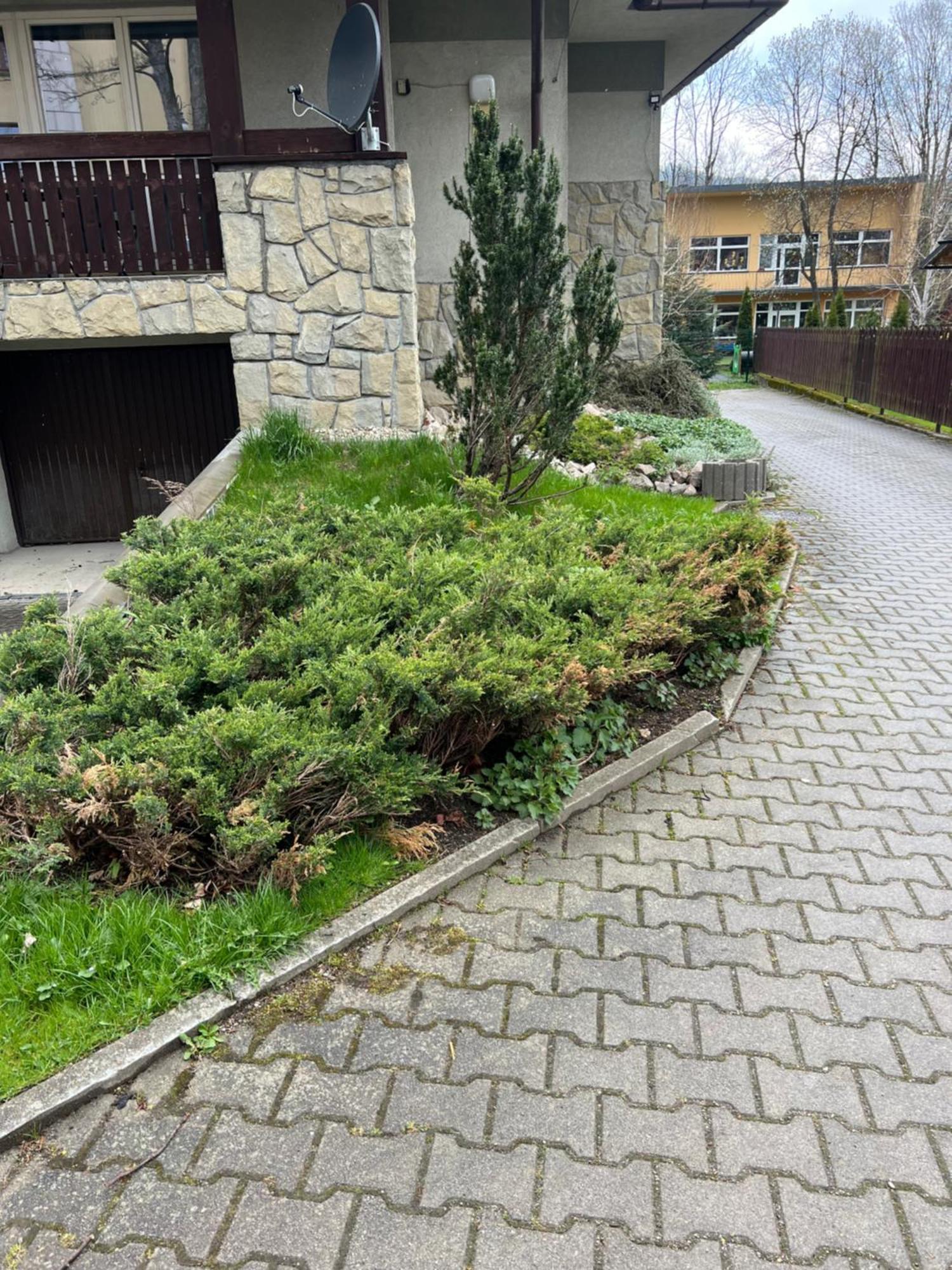 Apartament Sniezka Zakopane Extérieur photo